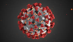 coronavirus